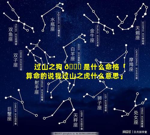过山之狗 🐎 是什么命格「算命的说我过山之虎什么意思」